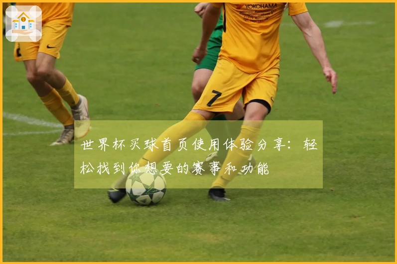 世界杯买球首页使用体验分享：轻松找到你想要的赛事和功能