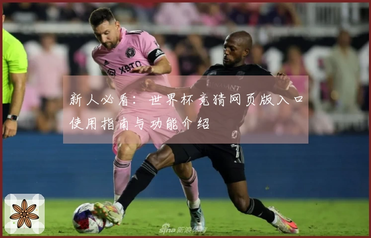 新人必看：世界杯竞猜网页版入口使用指南与功能介绍
